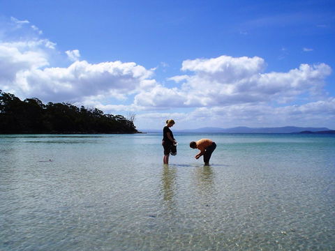 Bruny Island Escapes And Hotel Bruny - Accommodation 4U 36