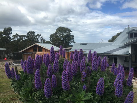 Bruny Island Lodge - Accommodation 4U 5