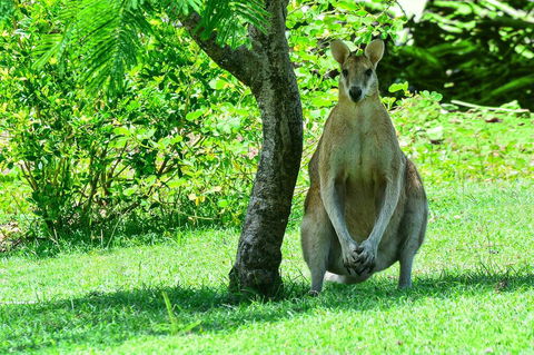 2 Bedroom Poinciana Lodge - Accommodation 4U 1