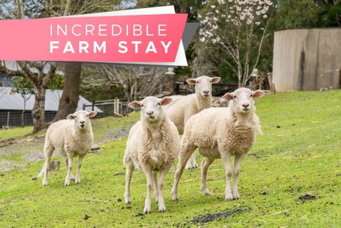Carawatha On The Range - Unique Farm Stay - Accommodation 4U 0