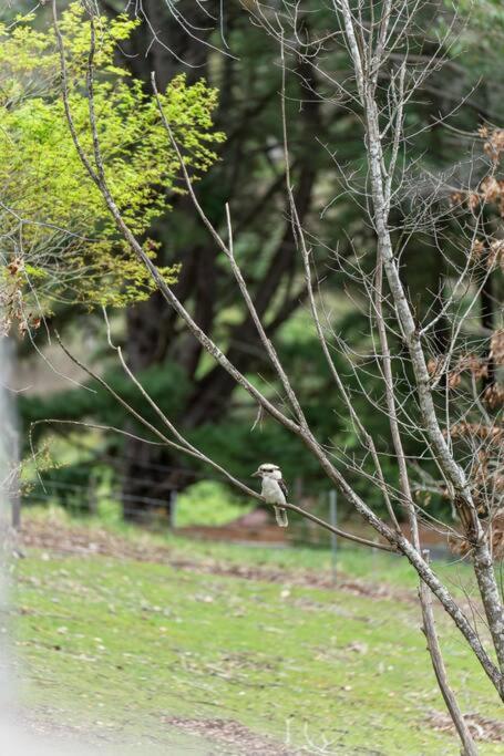 Carawatha On The Range - Unique Farm Stay - Accommodation 4U 4