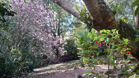 305 Montville - The Artist's Cottage - Accommodation 4U 3