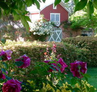 A Country Barn Retreat - Accommodation 4U
