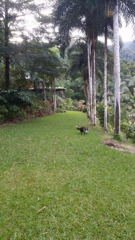 A Daintree Garden - Accommodation 4U 1