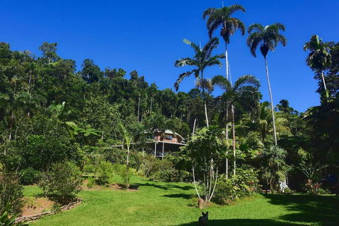 A Daintree Garden - Accommodation 4U 0