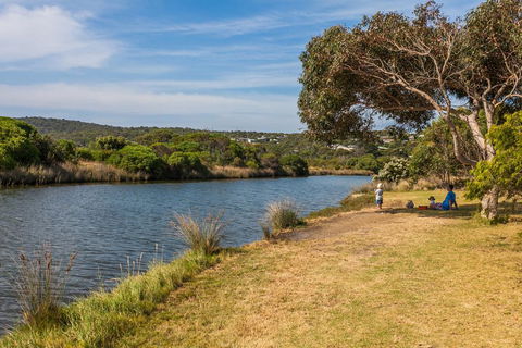 A River Bed Cottage - Accommodation 4U 3