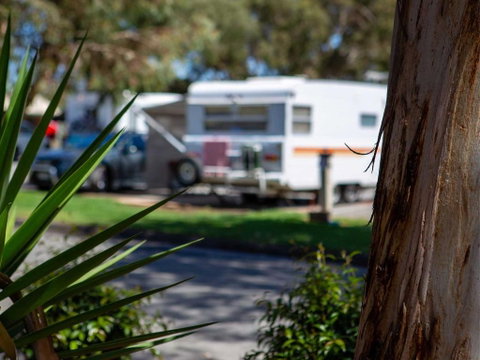 Echo Holiday Parks - Windsor Gardens - Accommodation 4U 4