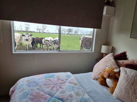 Farmstay - Accommodation 4U 1