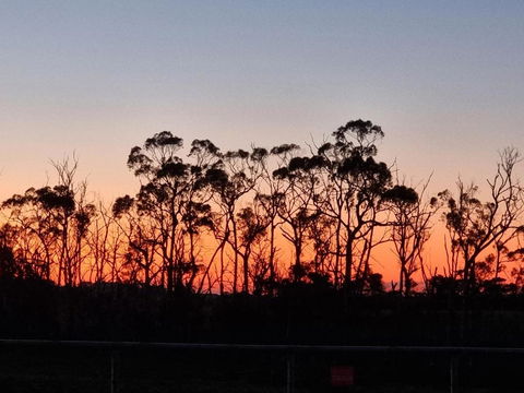 Farmstay@Morgans - Accommodation 4U 0