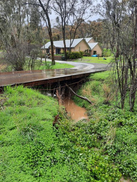 Frogmouth Hollow - Accommodation 4U 4