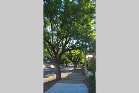 Gawler Heritage Accommodation - Accommodation 4U 1