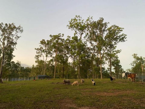 Gemmas Animal Farm By Tiny Away - Accommodation 4U 1