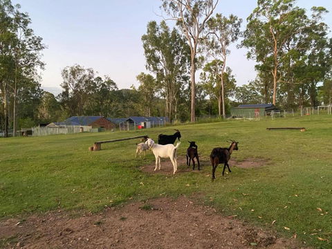 Gemmas Animal Farm By Tiny Away - Accommodation 4U 2