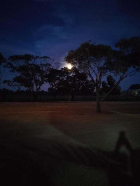 Hawker Holiday Cabins - Accommodation 4U 3