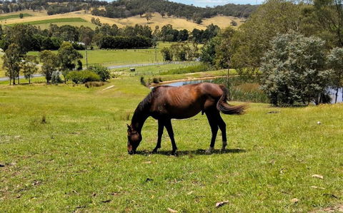 Honeycomb Hill Of Yarra Valley - Accommodation 4U 3