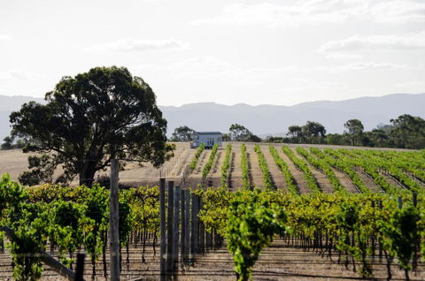 Hounds Run Vineyard - Tiny House In The Grampians - Accommodation 4U 1