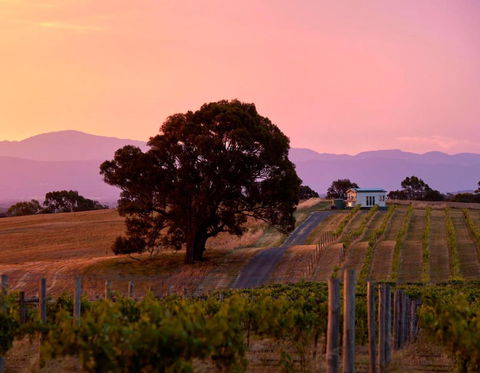 Hounds Run Vineyard - Tiny House In The Grampians - Accommodation 4U 0