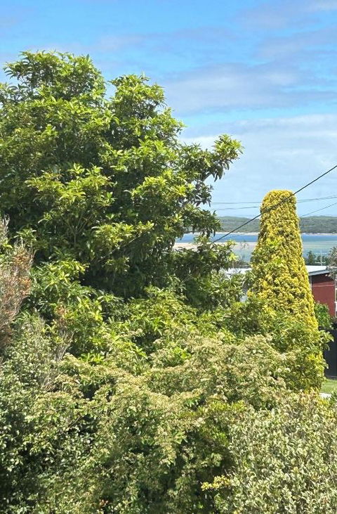 Iconic Beach House On Bruce - Accommodation 4U 1