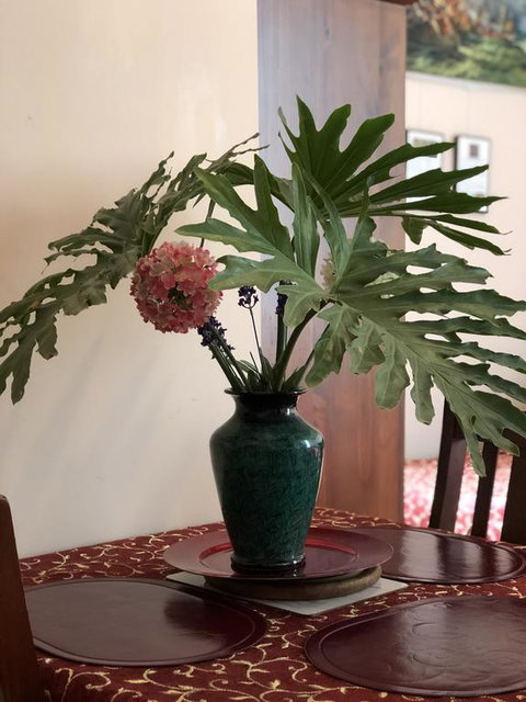 Albany Foreshore Guest House - Accommodation 4U 3