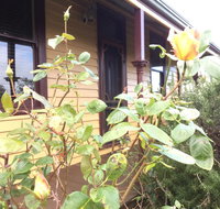 Albion Cottage - Accommodation 4U