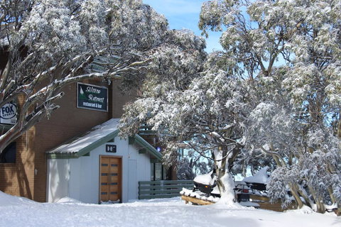 Alpine Retreat Mt Buller - Accommodation 4U 0