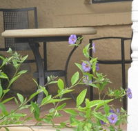 Amalie Cottage Waikerie - Accommodation 4U