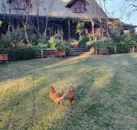 Angaston by the Winter Creek - Accommodation 4U