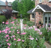 Annie's cottage - Accommodation 4U