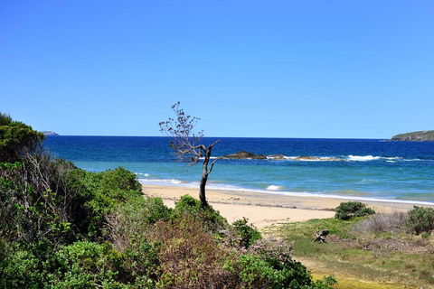 Aqualuna Beach Resort - Unit 25 - Accommodation 4U 3