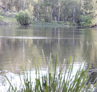 Arcadian Cabin - Southern Highlands River Retreat - Accommodation 4U