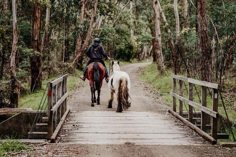 Luxury Mountain Valley Villa In Mt Evelyn - Accommodation 4U 3