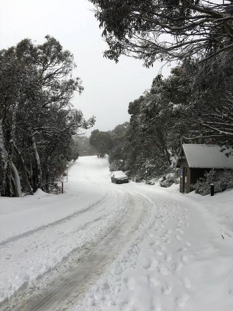 MAGNIFICENT SKIING ON MOUNT BULLER - Accommodation 4U 3