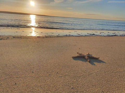 Matildas Of Kangaroo Island - Accommodation 4U 1