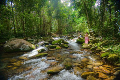 Misty Mountains Hideaway - Accommodation 4U 0
