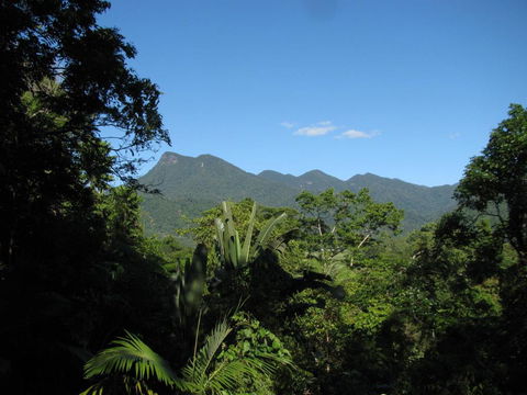 Mossman Gorge Bed And Breakfast - Accommodation 4U 0