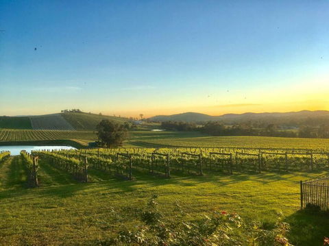 Mount Hope Estate Vineyard - Accommodation 4U 0