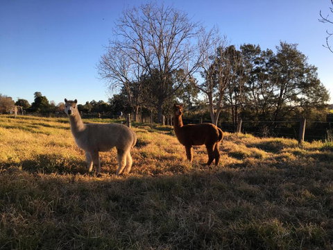 Muswellbrook Northside Bed & Breakfast - Accommodation 4U 0