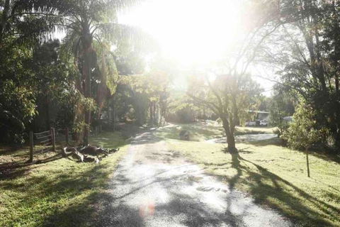 Myocum Farm Stay - Accommodation 4U 1