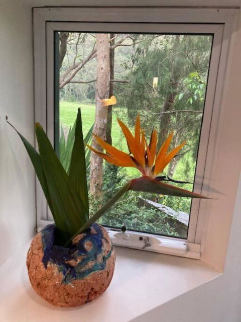 Nature Retreat & Artists Studio 90mins From Sydney - Accommodation 4U 1