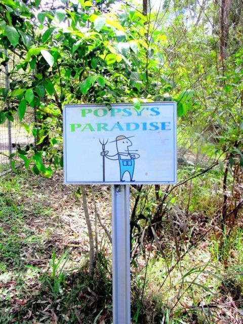 Nature Retreat & Artists Studio 90mins From Sydney - Accommodation 4U 3