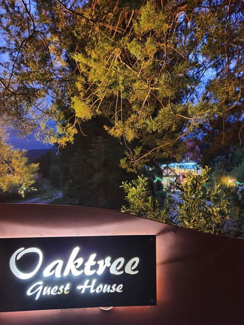Oaktree Guest House - Accommodation 4U 2