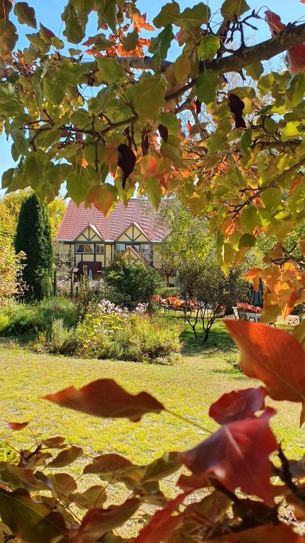 Oaktree Guest House - Accommodation 4U 0