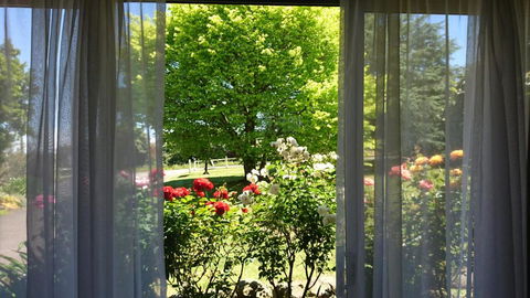 Opal Motel - Accommodation 4U 1