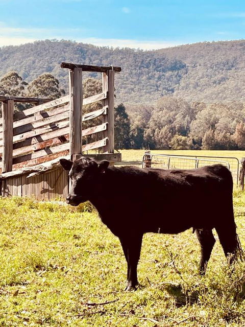 Peppercorns Riverside Farm Stay - Accommodation 4U 0