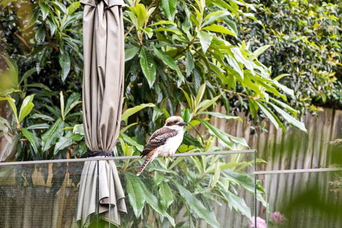 Quaint Queen Room - Central Location At Pymble - Shared Bathroom - Accommodation 4U 1
