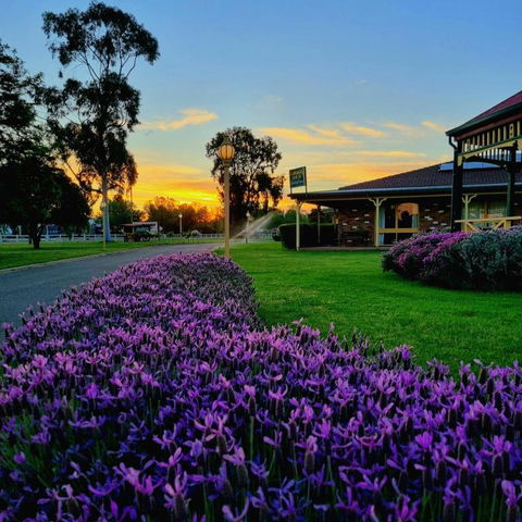 Quality Inn Carriage House - Accommodation 4U 1