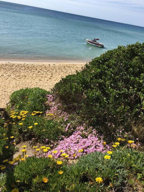 Quiet, Luxurious Guest House - Couples Retreat - Accommodation 4U 1