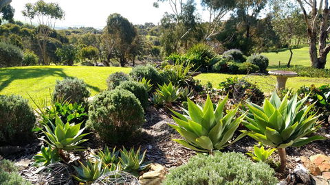 Austiny Bed And Breakfast Victor Harbor - Accommodation 4U 2