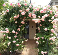 Baudins of Busselton Bed and Breakfast - Accommodation 4U