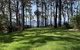 Beachgum - thumb 1
